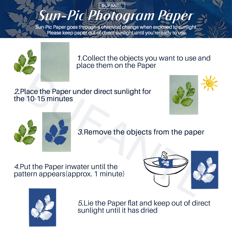 Kertas Cyanotype 12 Lembar Pak - Photography Lighting Beginners ulasan dan harga