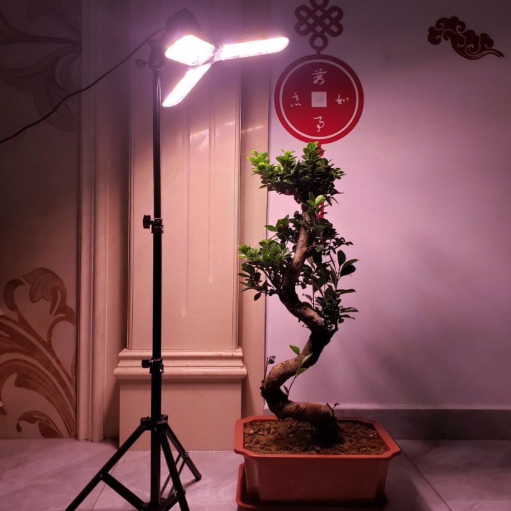 Statif Lampu 2M, Soket AC E27  - Photography Lighting For Studio ulasan dan harga
