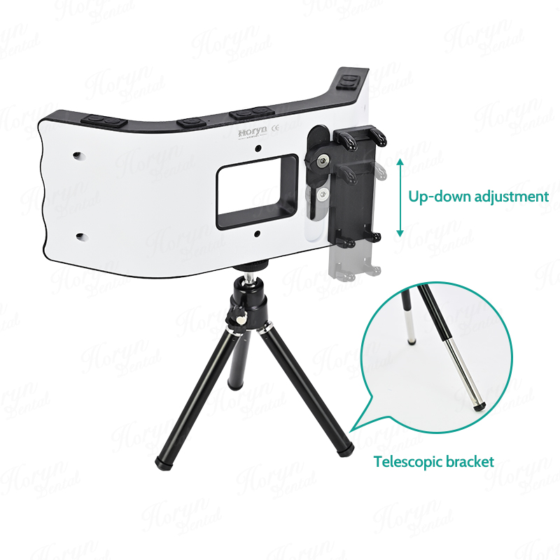 Kit fotografi gigi senter pons - Photography Lighting Spotlight ulasan dan harga